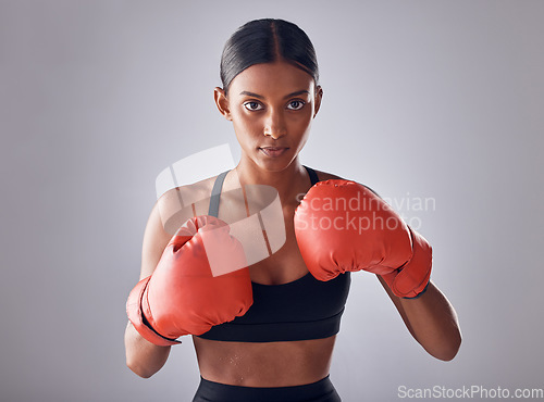 Image of Boxing, fitness and portrait of woman in studio for sports exercise, strong muscle or mma training. Indian female, boxer champion and gloves for impact, energy and warrior power in battle challenge