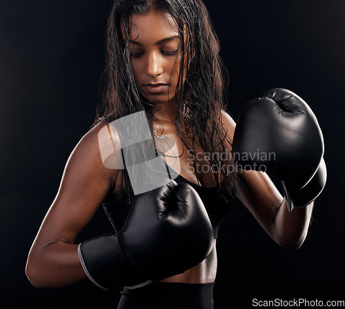 Image of Boxing, gloves and sweating with a sports woman getting ready in studio on a black background for fitness. Exercise, health and sweat with a female athlete or boxer training during a combat workout