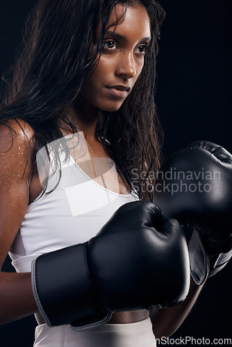 Image of Boxing, gloves and mindset with a sports woman getting ready in studio on a black background for fitness. Exercise, health and training with a female athlete or boxer sweating during a combat workout