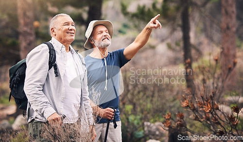 Image of Bird watching, looking and mature men in nature for travel, walking and on a backpack adventure in Norway. Search, view and elderly friends hiking and pointing at environment in the mountains