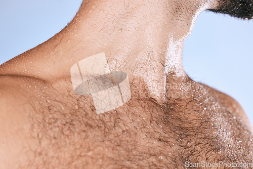 Image of Wet chest, water drops and human body of man in shower for cleaning, care and wellness on background. Beauty, torso and hairy male in studio for washing, grooming and hygiene cosmetics for skincare