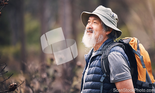 Image of Senior man, hiking and forest with backpack for travel, adventure or camping journey in nature. Elderly male hiker with smile for natural environment, traveling or backpacking and trekking outdoors