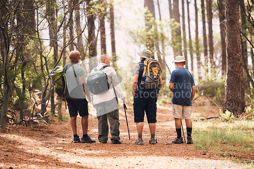 Image of Hiking, fitness and group of friends in forest for adventure, freedom and sports on mountain trail. Travel, retirement and back of senior hikers for exercise wellness, trekking and cardio workout