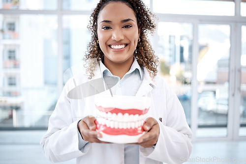 Image of Teeth model, healthcare and portrait of dentist for dental wellness, tooth whitening and oral care. Dentistry, medical clinic and orthodontist smile with mold for mouth hygiene, surgery and braces