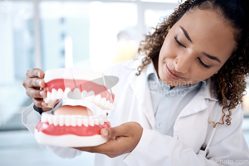 Image of Teeth model, healthcare and dentist in clinic for dental wellness, tooth whitening and oral care. Dentistry, medical consultation and orthodontist with mold for mouth hygiene, dentures and braces