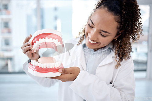 Image of Dentist, oral and dental hygiene professional artificial mouth or model in her office for a demonstration of whitening. Dentures, jaw and healthcare worker or expert holding teeth smile and happy