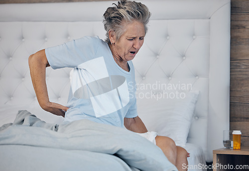 Image of Back pain, elderly woman and health with injury and old age, medical emergency with sick person and wellness. Inflammation, muscle tension and spine, arthritis or fibromyalgia with healthcare