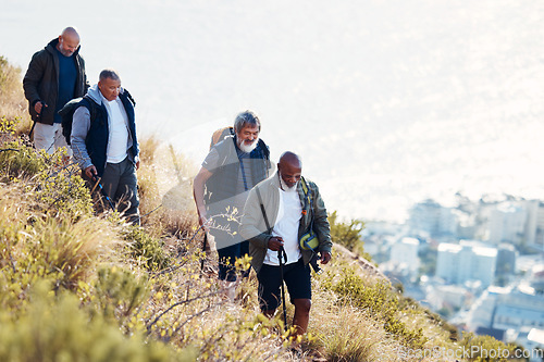 Image of Group, senior and men hiking or trekking on mountain in Cape Town for exercise, workout or fitness. Team, teamwork and elderly people training outdoors in nature for an adventure, explore and health