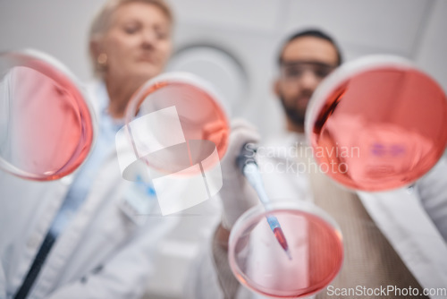 Image of Research, laboratory and science by technician team in analytics with a sample in lab with petri dish. Professional, below and medical scientists as teamwork, DNA and collaboration in chemistry