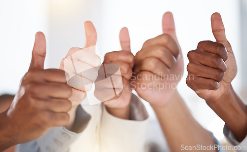 Image of Thumbs up, diversity and people with success in the office for team building, collaboration or teamwork. Multiracial, business and hands of employees with an agreement, yes or ok gesture in workplace