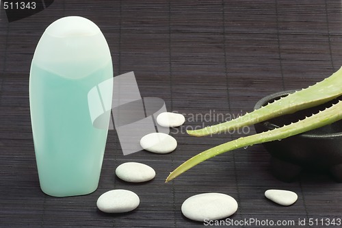 Image of Aloe vera shower gel