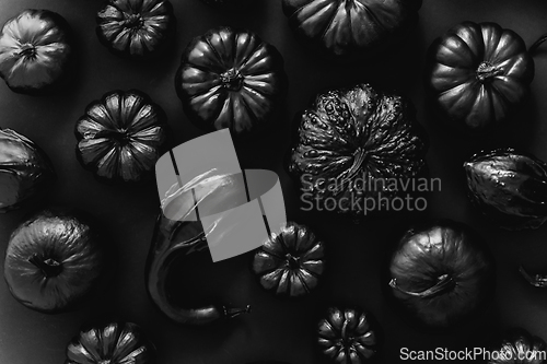 Image of Assorted squashes covered with black paint