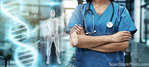 Image of Woman doctor, healthcare and body hologram overlay for health, wellness and hospital insurance. Person arms and 3d anatomy ai technology for medical abstract or dna future, innovation and development