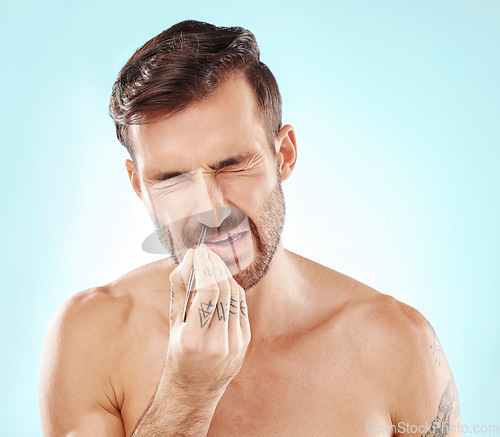 Image of Man with tweezer, painful nose hair removal and morning routine for beauty and skincare isolated on blue background. Face, frown and grooming facial hairs, male model with tattoo on hand in studio.