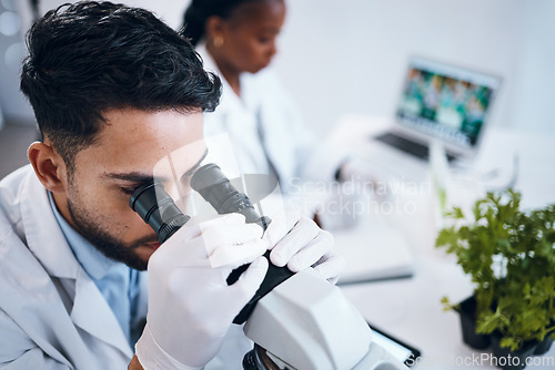 Image of Science, research and male scientist with a microscope for an analysis, test or experiment in medical lab. Innovation, biotechnology and man pharmaceutical researcher or expert working in laboratory.