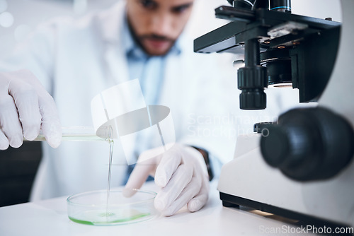 Image of Science, liquid and man with test tube in laboratory for plant research, medicine development and chemistry. Biotechnology, agriculture and scientist with pipette for experiment, study and analysis