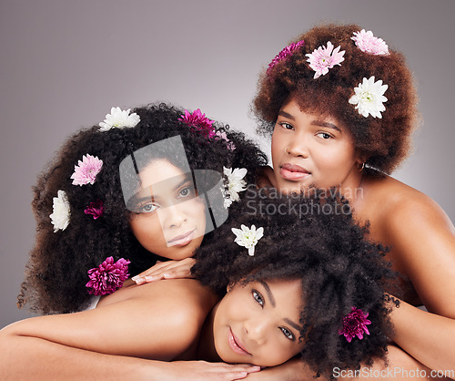 Image of Hair care, friends and portrait of black women with flowers in studio isolated on gray background. Floral cosmetics, organic makeup and face of group of girls with flower for beauty and aesthetic.