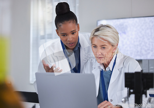 Image of Laptop, teamwork and doctors planning in laboratory for medical research for science. Computer, collaboration and researchers, black woman and senior female helping, discussion and brainstorming.