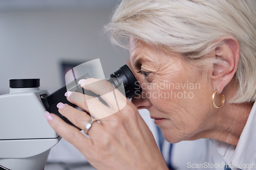 Image of Microscope, doctor and senior woman in laboratory for research, experiment or innovation. Science, biotechnology and elderly female scientist with medical equipment for sample analysis or testing.