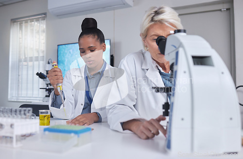 Image of Research, microscope and science women for teamwork, medical analysis of liquid in laboratory. Biotechnology, pharmaceutical medicine test and scientist or student black woman and professional senior