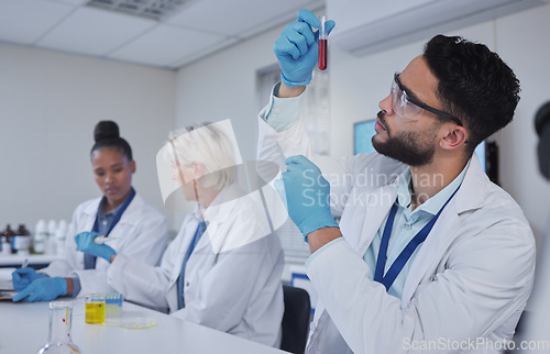 Image of Science, laboratory and man with blood in test tube for medical research, dna testing and investigation. Biotechnology, teamwork and forensic scientists with sample for analysis, study and experiment