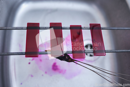 Image of Red, blood and glass slide in laboratory stain research, dna cell engineering or acid particles chemistry in top view sink. Zoom, science and healthcare dye study in medical pharmacy with cotton swab