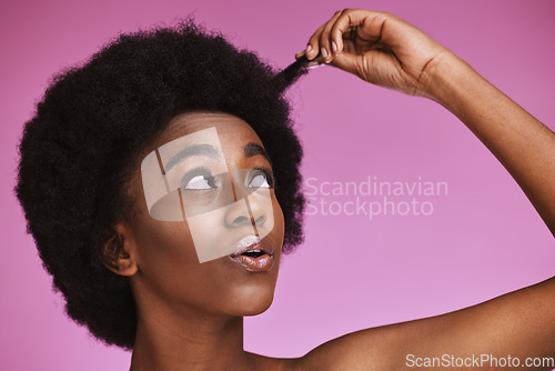 Image of Natural, afro and hair with black woman in studio for beauty, wellness and grooming on purple background. Haircare, hairstyle and face of girl model relax in luxury, hygiene or routine while isolated