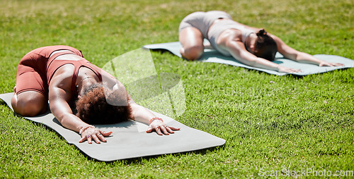 Image of Fitness, yoga and wellness with woman friends stretching on a field of grass outdoor for spiritual health. Exercise, pilates or downward dog with a female yogi and friend training together outside