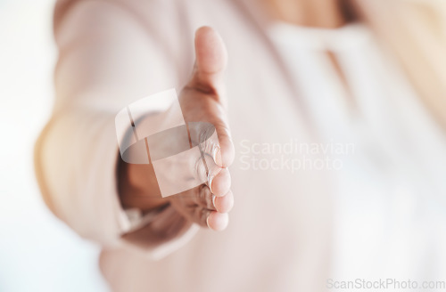 Image of Person, handshake and welcome for hiring, recruitment or introduction and greeting in business partnership. Hand gesture, emoji or shaking hands for b2b, trust or collaboration in agreement thanks