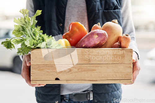 Image of Grocery delivery, courier and hands of man with retail sales product, food shopping or vegetables shipping container. Logistics supply chain, health nutritionist and distribution person with package