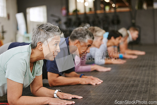 Image of People, fitness and plank in class for workout, core exercise or training together at indoor gym. Diverse group or team in warm up ab muscle session for sport, health or wellness on gymnasium floor