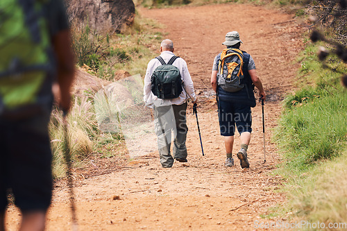 Image of Hiking, fitness and friends walking on mountain for adventure, freedom and sports in outdoor forest. Travel, retirement and senior hikers for exercise wellness, trekking and cardio workout in nature