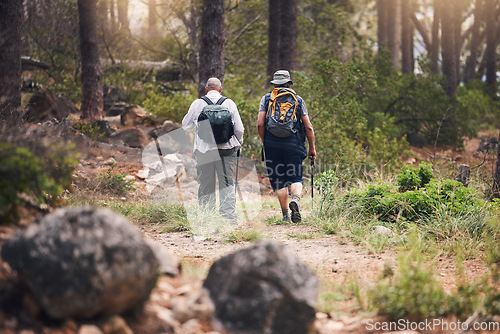 Image of Hiking, fitness and people walking in forest for adventure, freedom and sports on mountain trail. Travel, training and back of hikers for exercise wellness, trekking and cardio workout in nature