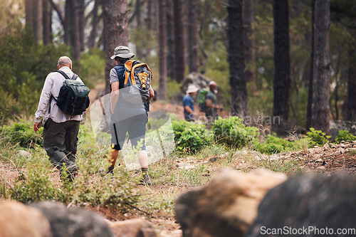 Image of Hiking, fitness and people walking in forest for adventure, freedom and wellness in woods. Travel, outdoors and group of men hikers in natural environment for exercise, trekking and cardio workout