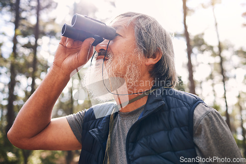 Image of Hiking, binoculars and senior man in nature looking at view, sightseeing or watching. Binocular, adventure and elderly male with field glasses, trekking or exploring on holiday or vacation outdoors.