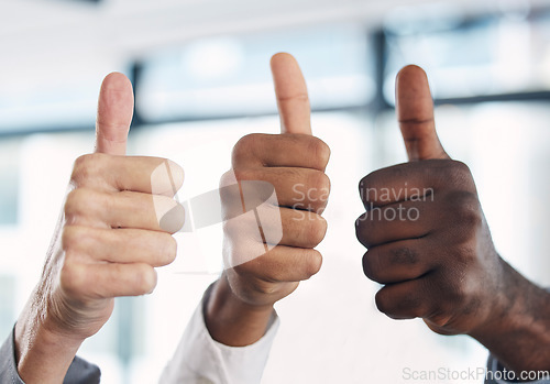 Image of Thumbs up, hands and group together in office with diversity, agreement and solidarity at job. Business people, hand sign and solidarity with team building, collaboration and motivation in workplace