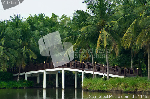 Image of Bridge and palm trees