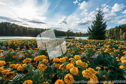 Image of Summer landscape of lake with crystal and fresh water Aya