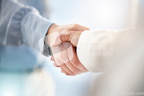 Image of Hand, handshake and partnership for trust, unity or deal in agreement, meeting or b2b at office. People shaking hands in collaboration for support, welcome or promotion in solidarity at workplace