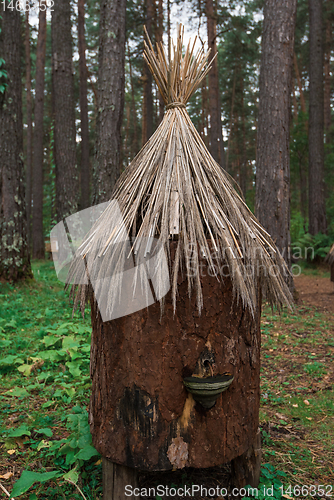 Image of Old bee-hive in the forest