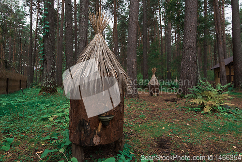 Image of Old bee-hive in the forest