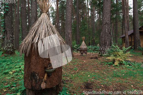 Image of Old bee-hive in the forest