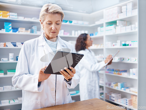 Image of Tablet, senior woman and pharmacist in pharmacy for healthcare and stock check in shop. Medication research, telehealth technology and elderly female and medical doctor with touchscreen in drugstore.