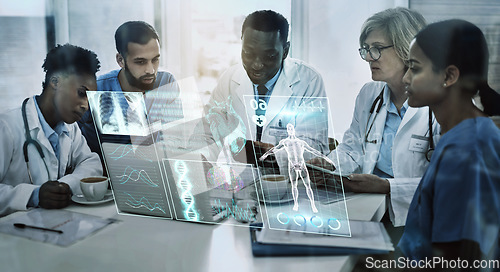 Image of Laptop, team work or doctors in meeting with 3d holographic overlay for anatomy research in hospital. Data analysis, ai or medical healthcare workers working together to help science development