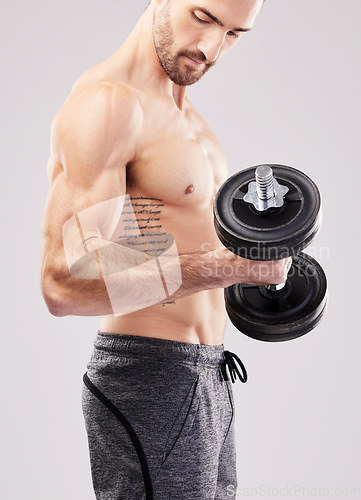 Image of Arm training, dumbbell and bodybuilder man workout in a studio for fitness, exercise and power. Gray background, isolated and gym model weightlifting, bodybuilding focus and doing body wellness