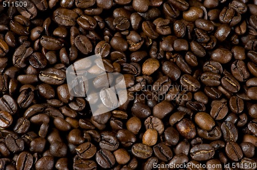 Image of Texture, coffee beans