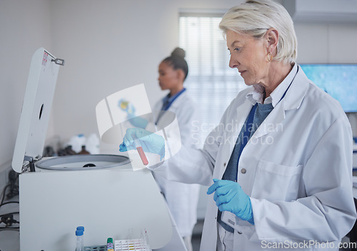 Image of Science, laboratory or woman with blood in test tube for medical search, healthcare or dna research. Biotechnology, medicine lab or scientists doctor with fluid sample analysis, study or innovation