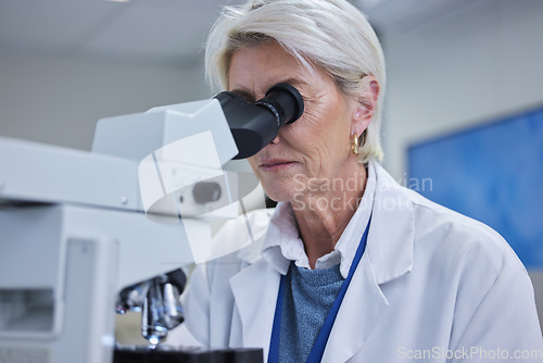 Image of Mature woman, laboratory or microscope in science research, future dna engineering or bacteria analytics. Scientist, magnify or equipment in healthcare pharmacy test, medical or particles innovation