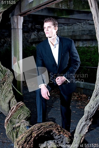 Image of Handsome man with tree
