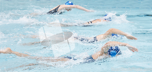 Image of Swimming, water and race with a sports woman group in a pool for fitness, training or competition. Workout, exercise and swimmer with an athlete team racing for cardio or endurance during a swim